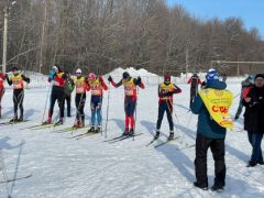 ЧемпионатВ Чувашии состоялся чемпионат по лыжным гонкам на Кубок региональной организации "Динамо" лыжи 