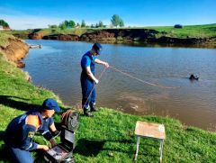 ОбследованиеСпасатели проводят водолазное обследование водоемов Чувашии купальный сезон 
