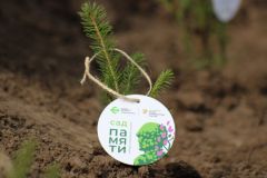 В Чувашии в рамках акции «Сад памяти» планируется высадить более 36 тыс. деревьев