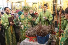 Митрополит Варнава освящает ветви вербыПравославные жители Чувашии встретили Вербное воскресенье богослужения 