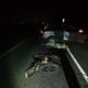 На автодороге Кугеси - Новочебоксарск в ДТП погиб водитель спортивного мотоцикла