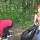 В ходе акции «Чистая роща» вывезли 5 кубометров мусора
