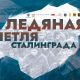 Жителей Чувашии пригласили на онлайн-программу к 80-летию победы в Сталинградской битве Сталинградская битва 