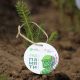 Свыше 36 тысяч деревьев высадят в Чувашии в рамках международной акции "Сад памяти" сад памяти 