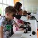 Новочебоксарский детский технопарк "Кванториум" приглашает на бесплатное обучение
